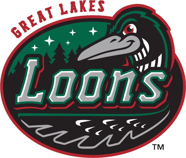 Great Lakes Loons 2016-Pres Primary Logo iron on heat transfer
